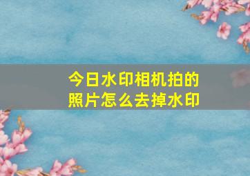 今日水印相机拍的照片怎么去掉水印