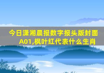 今日潇湘晨报数字报头版封面A01,枫叶红代表什么生肖