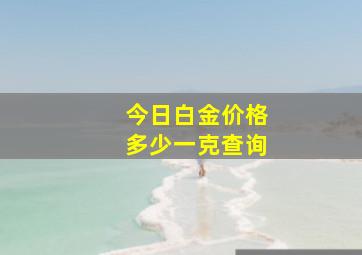 今日白金价格多少一克查询