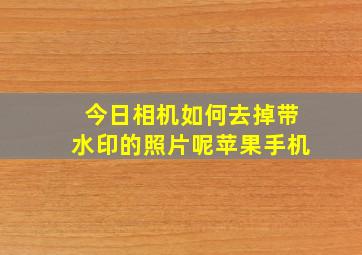 今日相机如何去掉带水印的照片呢苹果手机