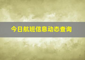 今日航班信息动态查询