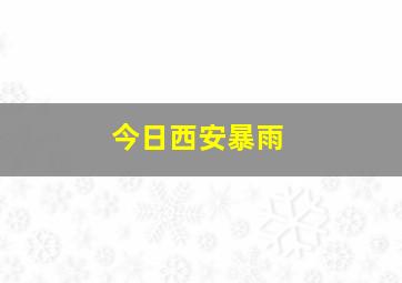 今日西安暴雨