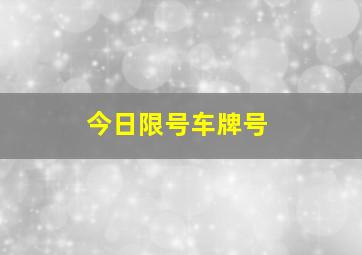 今日限号车牌号