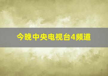 今晚中央电视台4频道