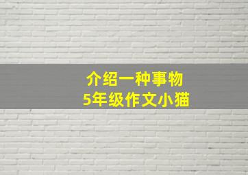 介绍一种事物5年级作文小猫