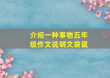 介绍一种事物五年级作文说明文袋鼠