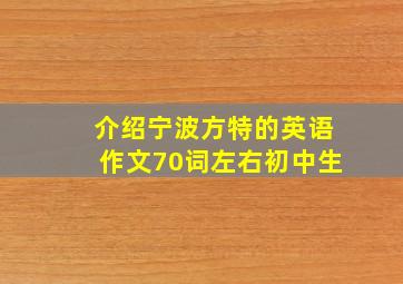 介绍宁波方特的英语作文70词左右初中生