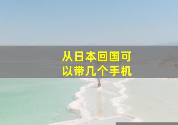 从日本回国可以带几个手机