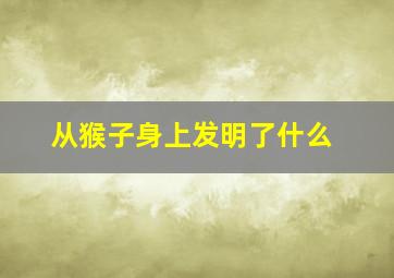 从猴子身上发明了什么