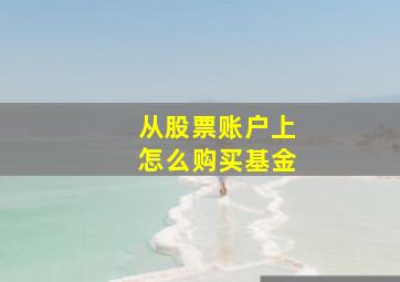 从股票账户上怎么购买基金