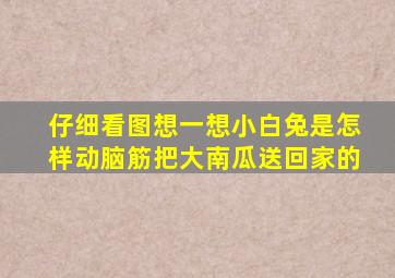 仔细看图想一想小白兔是怎样动脑筋把大南瓜送回家的