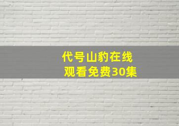 代号山豹在线观看免费30集