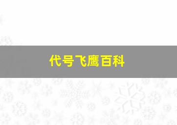 代号飞鹰百科