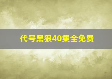 代号黑狼40集全免费