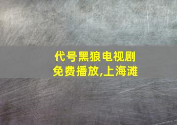 代号黑狼电视剧免费播放,上海滩