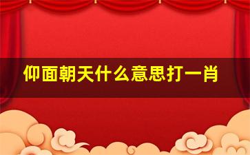 仰面朝天什么意思打一肖