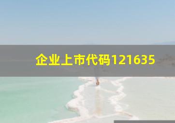 企业上市代码121635