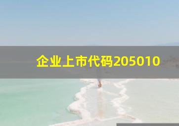 企业上市代码205010