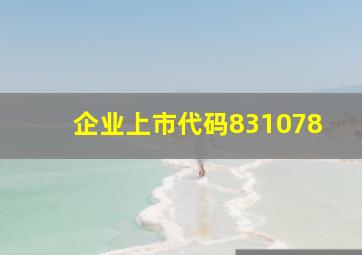 企业上市代码831078