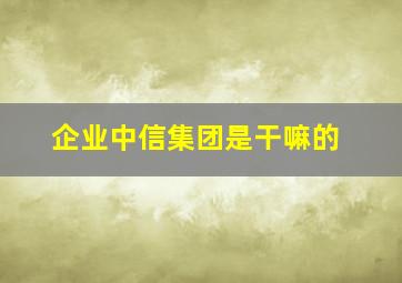 企业中信集团是干嘛的