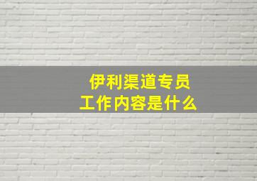 伊利渠道专员工作内容是什么