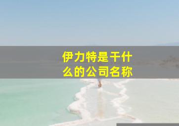 伊力特是干什么的公司名称