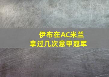 伊布在AC米兰拿过几次意甲冠军