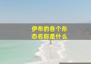 伊布的各个形态名称是什么