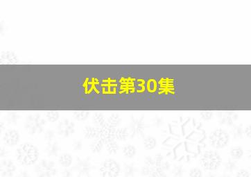 伏击第30集