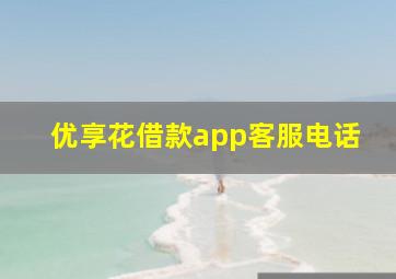 优享花借款app客服电话