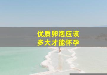 优质卵泡应该多大才能怀孕