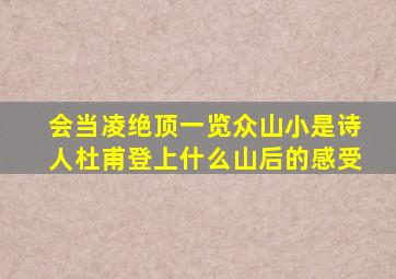 会当凌绝顶一览众山小是诗人杜甫登上什么山后的感受