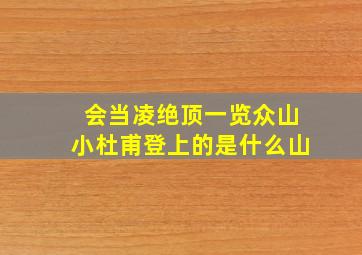 会当凌绝顶一览众山小杜甫登上的是什么山