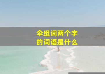 伞组词两个字的词语是什么