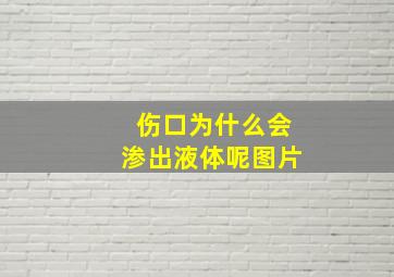 伤口为什么会渗出液体呢图片