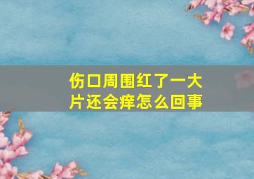 伤口周围红了一大片还会痒怎么回事