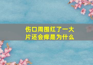 伤口周围红了一大片还会痒是为什么