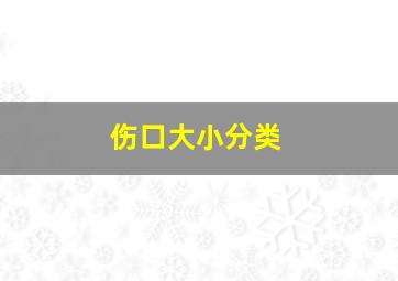 伤口大小分类