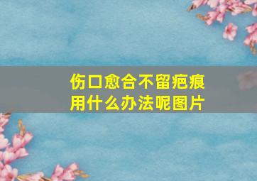 伤口愈合不留疤痕用什么办法呢图片