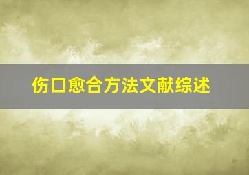 伤口愈合方法文献综述