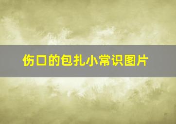 伤口的包扎小常识图片