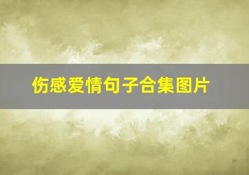 伤感爱情句子合集图片