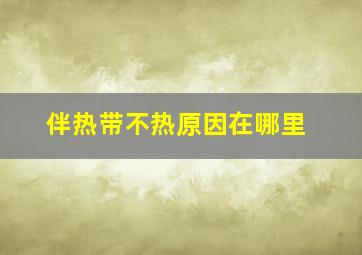 伴热带不热原因在哪里