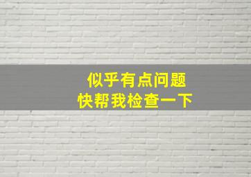 似乎有点问题快帮我检查一下