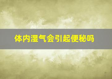 体内湿气会引起便秘吗