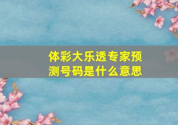 体彩大乐透专家预测号码是什么意思