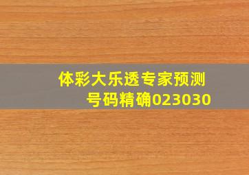 体彩大乐透专家预测号码精确023030