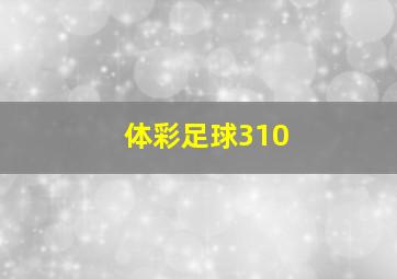 体彩足球310