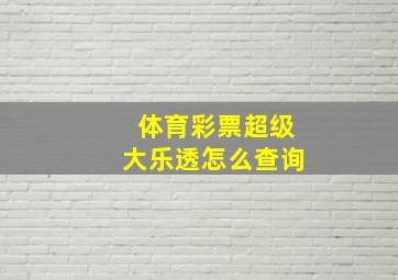 体育彩票超级大乐透怎么查询