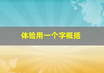 体验用一个字概括